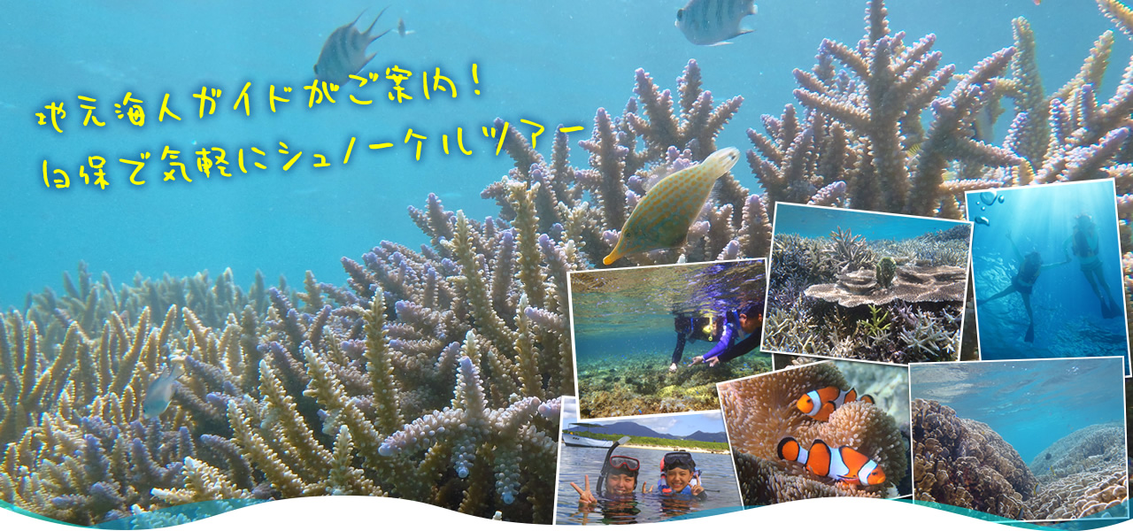 地元海人ガイドがご案内!白保で気軽にシュノーケルツアー