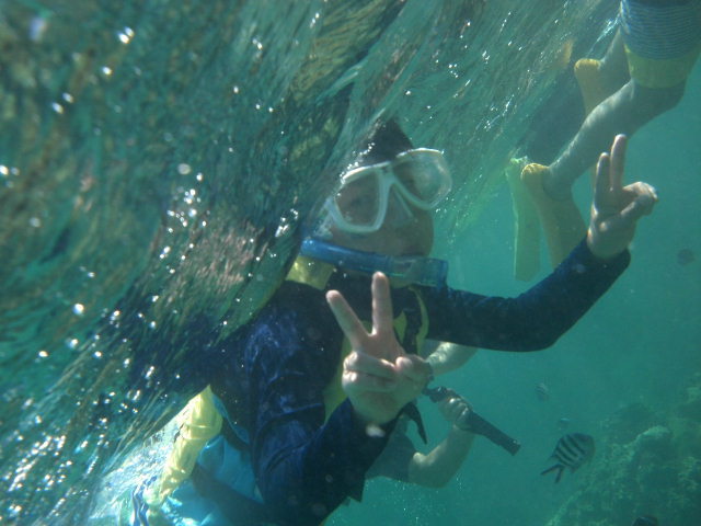 SEA-TOP�г��� 