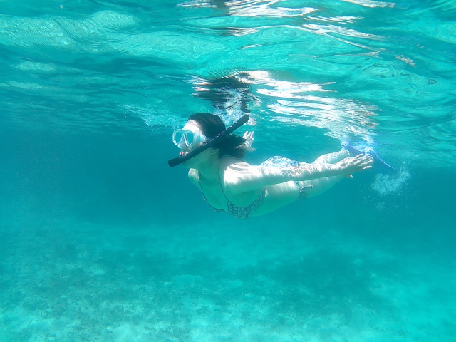 SEA-TOP�г���