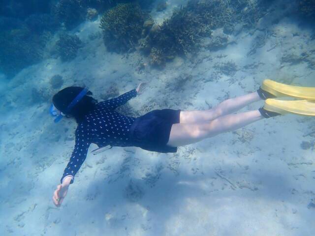 SEATOP�г���