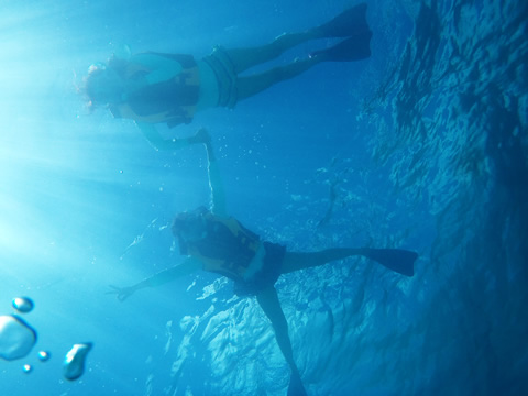 白保の青い海をお楽しみに!